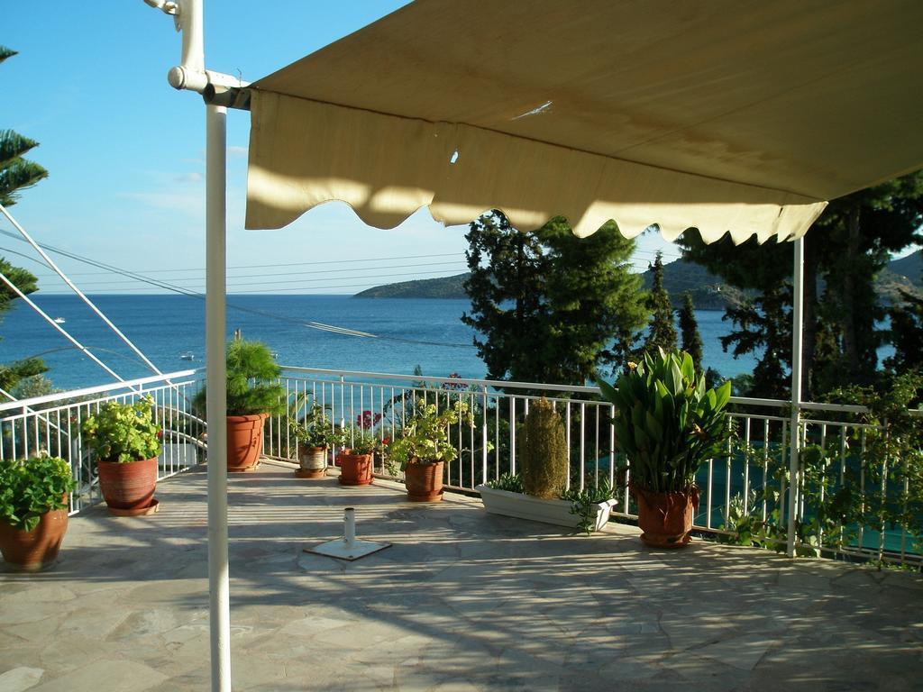 Tolon Beach Hotel Номер фото